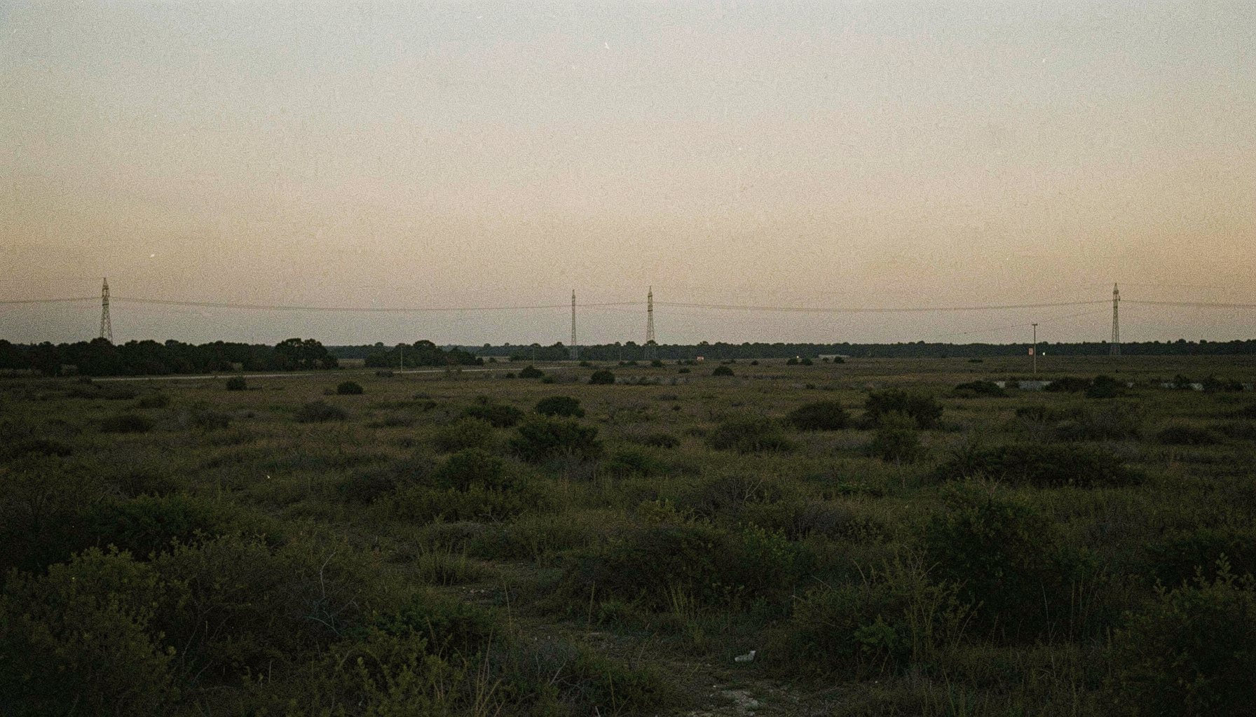 Forty years of searching ended with a single phone call
