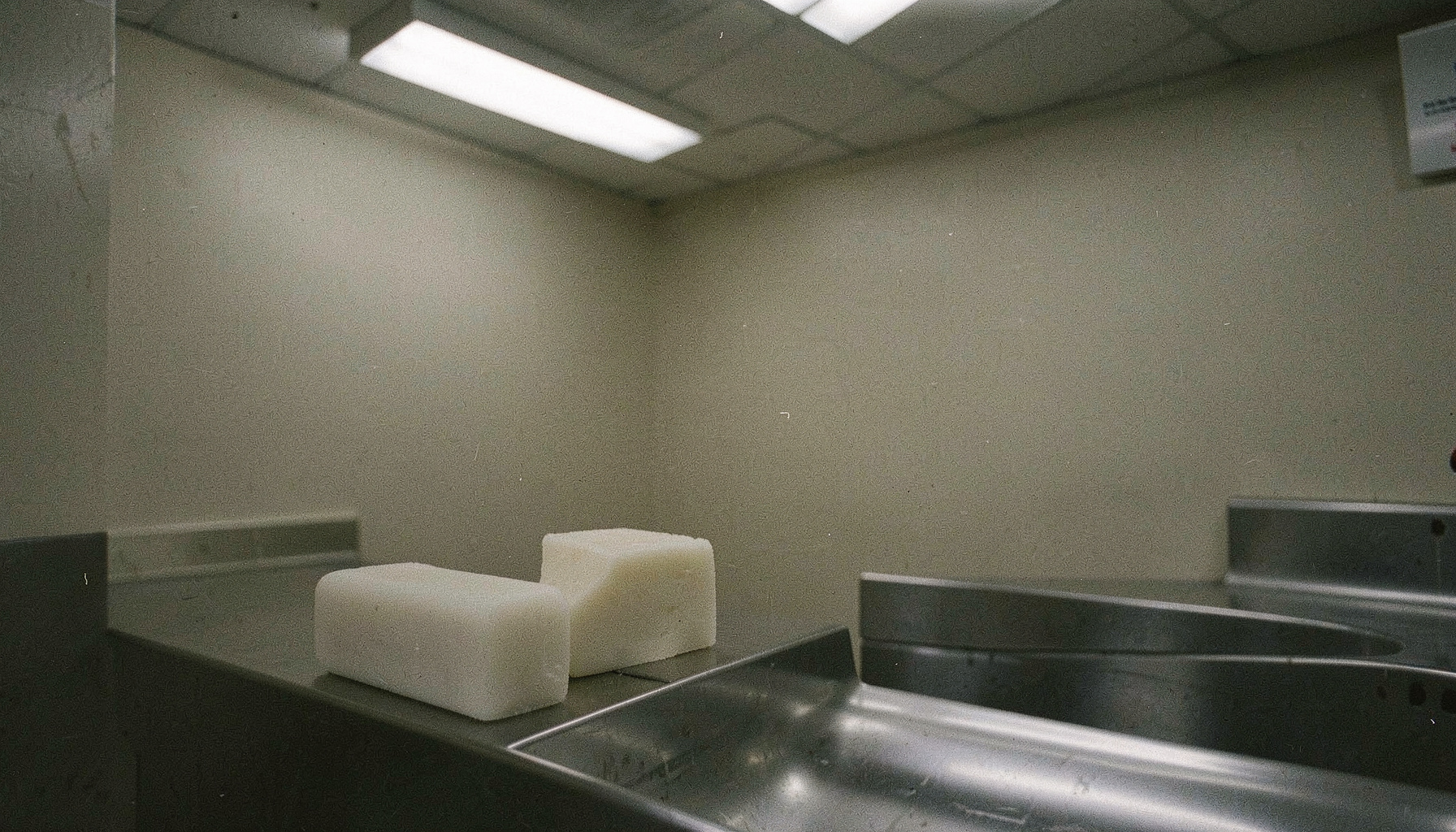 Claire Denis Plots Cannibal Crime Drama With a Very Descriptive Title